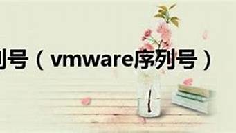 vmware序列号注册器_vmware12序列号